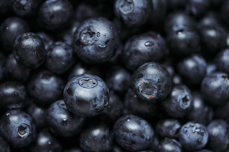 Superfood Insights